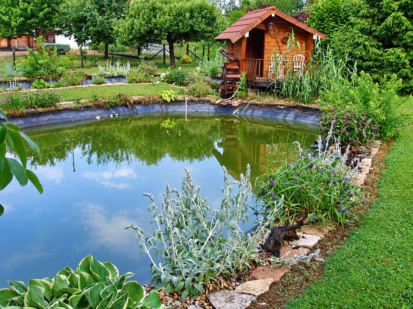 Un bassin d'eau verte bordé de pierres et de plantes, avec une petite cabane en bois au fond d'un jardin verdoyant.