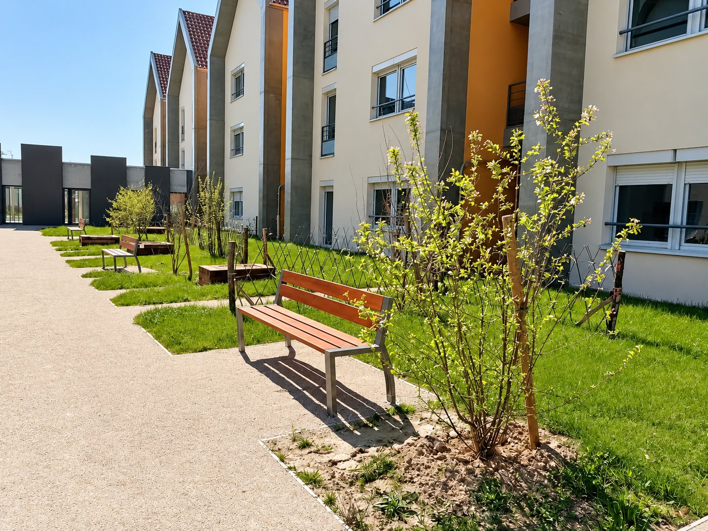 Allée gravillonnée bordée de bancs en bois, de pelouse et de jeunes arbustes en fleurs devant un immeuble résidentiel moderne.