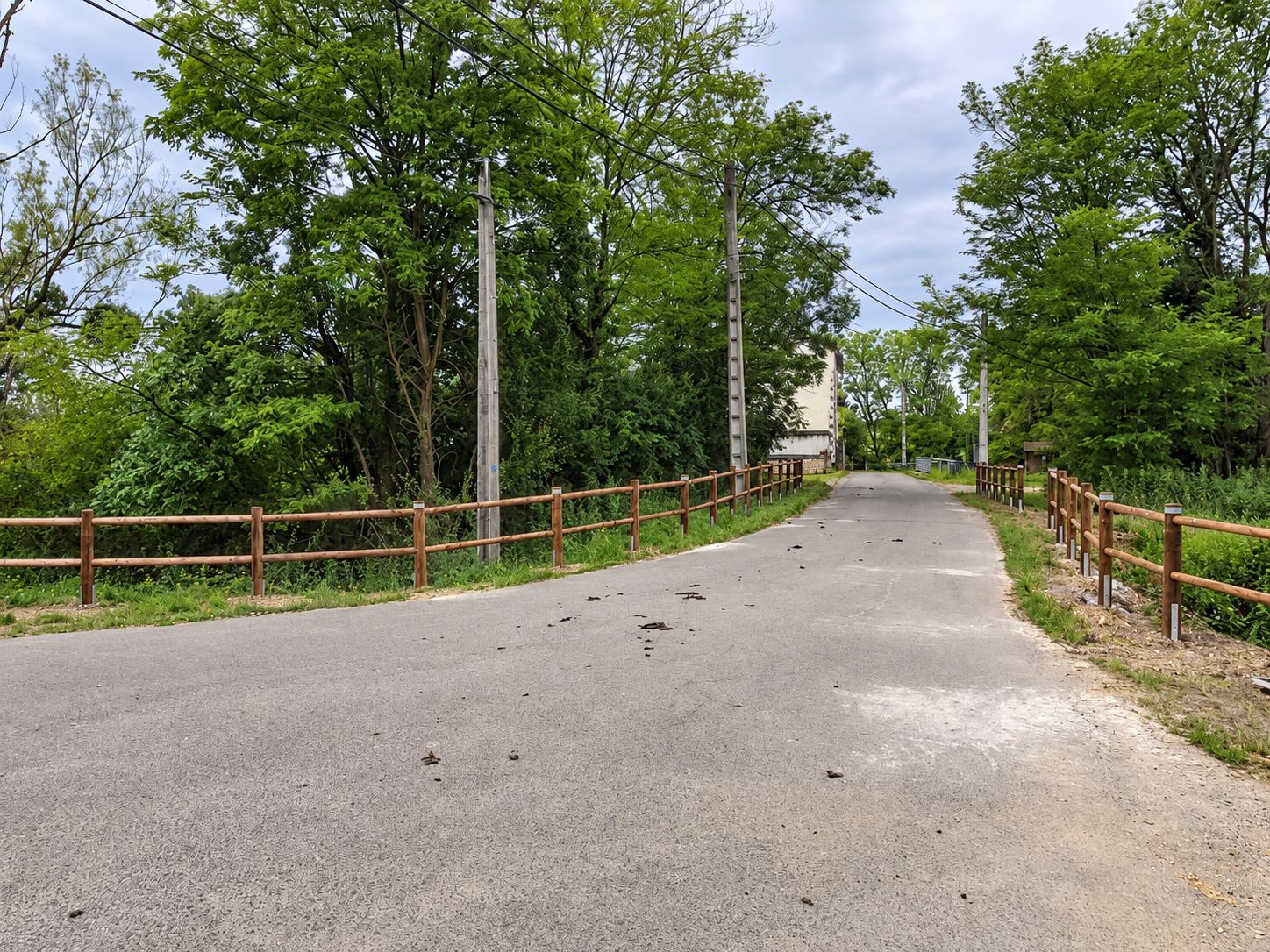 Une petite route goudronnée bordée de barrières en bois à lisses horizontales, entourée d'arbres et de poteaux électriques.